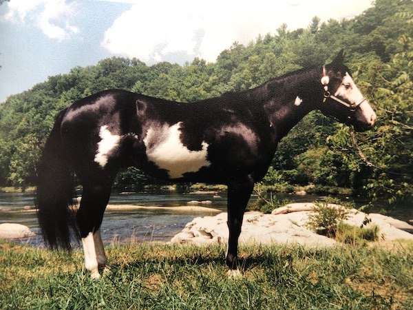 Texaco Tex at Leonard Farms