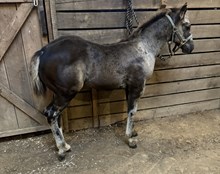 LTL Steel Otoe